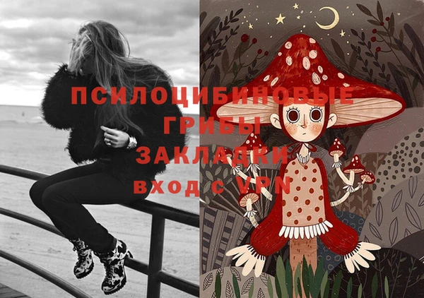 бошки Алексеевка