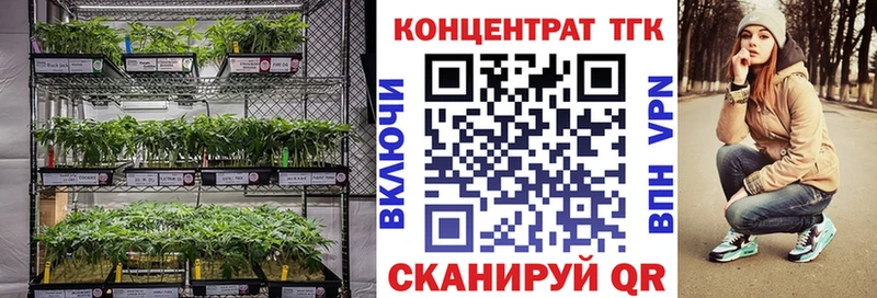 ТГК THC oil MEGA tor Чухлома